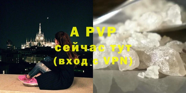 молекула духа Елизово