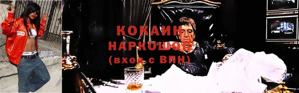 молекула духа Елизово