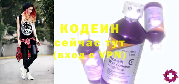молекула духа Елизово