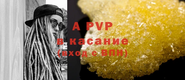 молекула духа Елизово
