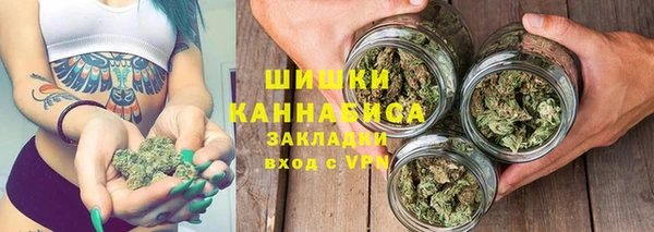 молекула духа Елизово