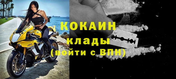 PSILOCYBIN Елабуга