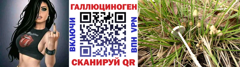 Купить где  Касли  Псилоцибиновые грибы GOLDEN TEACHER 